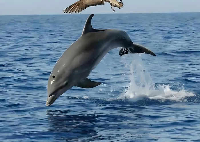 La Casita 아파트 코라레호