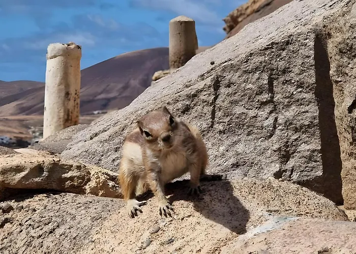 La Casita * Corralejo